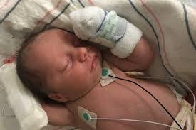 Mary Ramaley's Instagram, Twitter & Facebook