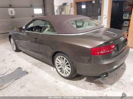 Image result for Teak Brown 2012 A5