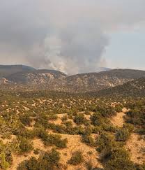 SFNF: Evening Update For Frijoles Fire Aug. 8 – Now At 1000 Acres, Zero Percent Containment