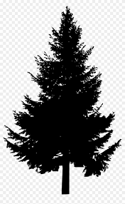 Clipart design a illustrator vector of trees pine and fir and spruce, christmas tree. Free Download Clipart Pine Tree Silhouette Png Download 47469 Pikpng