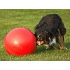 Best Outdoor Dog Toys For Dogs Alone Outside Outdoor Dog Toys Outdoor Dog Interactive Dog Toys