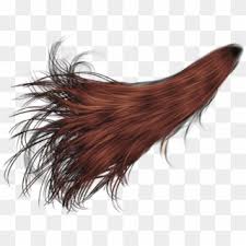 Cb Hair Png Hair Png Picsartallpng Turkey Transparent Png 545x572 5119070 Pngfind Hair png photoshop brushes we have about (32 files) photoshop brushes in abr format. cb hair png hair png picsartallpng