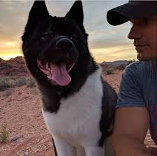 Henry Cavill Kal Cavill Henry Cavill News Henry