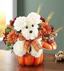 We would like to show you a description here but the site won't allow us. Royalty Flowers Alexandria Va Florist Same Day Flowers Delivered