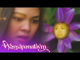 Wansa Jasmins Flower Powers