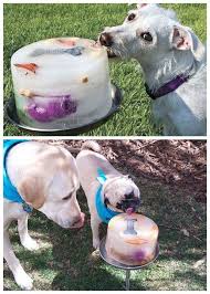 25 Genius Hacks That Make Having A Dog So Much Easier Interactive Dog Toys Diy Dog Stuff Kong Dog Toys