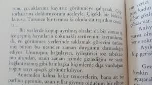 Inci Aral Icimden Kuslar Gocuyor Termos Inciler Turuncu
