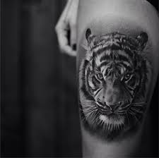 Black And Grey Tiger Portrait Tiger Tattoo Thigh Tiger Tattoo Design Tiger Face Tattoo