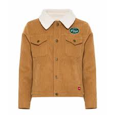 Image result for Brown 2023 Fleet