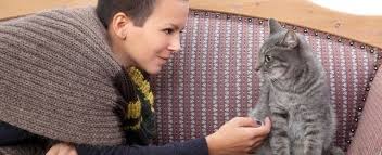 Pet sitting is the act of temporarily taking care of another person's pet for a given time frame. How To Find A Good Pet Sitter For Your Cat