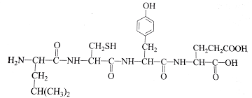 We talked to dermatologists to see what the benefits are. Which Of The Following Statements Regarding The Structure Of Proin