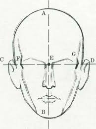 Having thoroughly explored the human body, it is time to start looking more closely at its details, starting with the face. Drawing The Human Head Drawing The Human Head Joshua Nava Arts