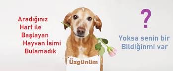 g ile baslayan hayvanlar bas harfi g olan hayvanlar g ile hayvan isimleri