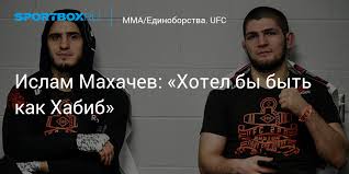 Есть ли жена, статистика боев, фото и видео. Qyynvcuayf0afm