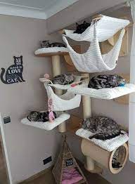 70 Brilliant Diy Cat Playground Design Ideas Your Beloved Cat Definitely Needs A Place To Play If You Have Pets In Your Cat Room Decor Cat House Diy Cat Room