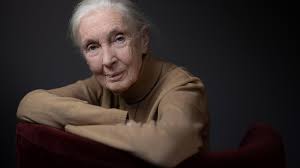 Amit Dholakia (@Amit_Dholakia)