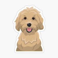 Mini Golden Doodle Stickers for Sale