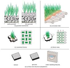 Technique of growing grasses in your lawn most easily. Water Free Full Text Enhancing The Ecological Value Of Sea Dikes Html