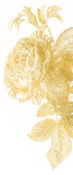 Jessicca Terry and Reginald Eberhart's Wedding Website