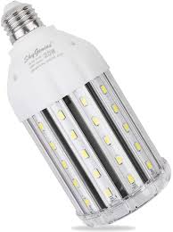 While no motion light is completely immune an outdoor motion detector light is also rated by how many watts (adding up the total watts of the bulbs). The 8 Best Outdoor Light Bulbs Of 2021