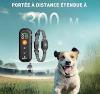 Collier de Dressage pour Petits Chiens, Collier Electrique Chien avec  Télécommande, 3 Modes (Son, Vibration, Choc), Portée 300m, Étanche IP67, ...