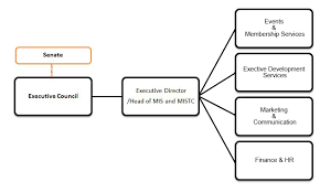 Organisation Structure