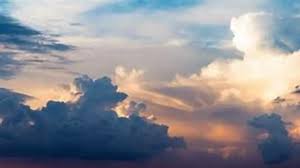 Obituary information for William Demelt Alcott