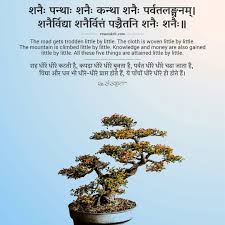  405 Likes 0 Comments Resanskrit Resanskrit On Instagram A Bonsai Tree Takes 4 5 Years And A Tremendous Amount Sanskrit Quotes Vedic Mantras Bonsai Tree