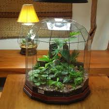 Closed Terrarium Pictures And Ideas Terrarium Garden Terrarium Terrarium Closed