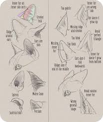Realistic Domesticated Feline Ear Tutorial By Antidarkheart On Deviantart Cat Drawing Tutorial Animal Drawings Drawing Tutorial