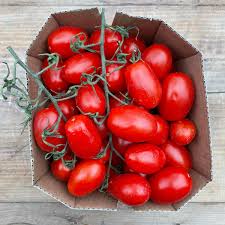Image result for tomato Datterino