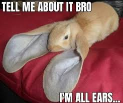 Big Ol Hearers R Wholesomememes Wholesome Memes Know Your Meme