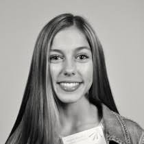 Director's Annual Report 2016-2017