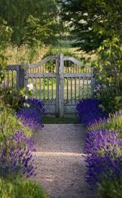 Lavender Really Love This Pinner S Pins Well Done Garden Gates Cottage Garden Beautiful Gardens
