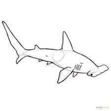 See more ideas about shark, shark images, shark silhouette. 11 Hammerhead Shark Tattoo Ideas Hammerhead Shark Tattoo Shark Tattoos Hammerhead Shark