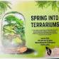 Spring Into Terrariums