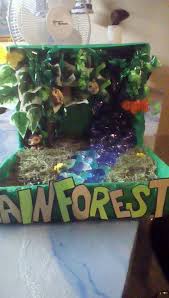 Biome In A Box Tropical Rainforest Rainforest Diorama Rainforest Project Habitats Projects Biomes Project