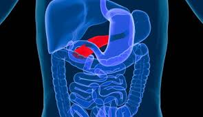De haut en bas : Le Pancreas Index Sante