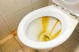 How To Remove Hard Water Stains In Your Toilet Kinetico San Antonio
