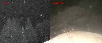Check spelling or type a new query. A Deep Analysis Of The Night Photos Imperfect Plan