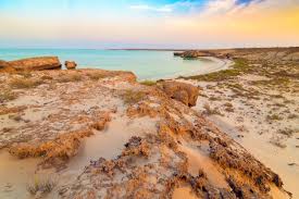 جزيرة فرسان Outdoor Water Coastline