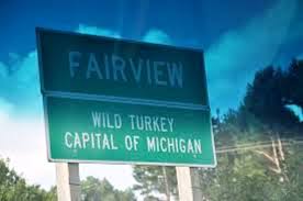 Fairview Michigan Wild Turkey Capital Of Michigan Michigan Detroit Michigan Oscoda