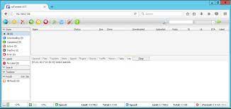 With every plan, but applications like plex, sonarr, radarr are available with the seedfast pro plan only. Install Rutorrent Using Docker A Utorrent Like Bittorrent Client