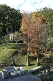 苗栗民宿 三義民宿 chooart 樹也villa 苗栗旅遊 tree landscape plants
