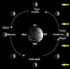 Je d?ambule ma vie au fond d'un vieux tiroir j'accumule mes envies. L Acces Public Erea Anne Frank L Actu Les Phases De La Lune