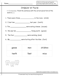 12 2nd Grade Irregular Plural Worksheet Irregular Plural Nouns Plurals Irregular Plurals