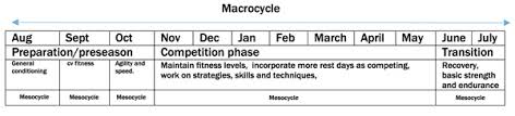 Training Seasons Periodisation Teachpe Com