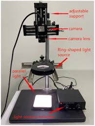Foot muscle weakness develops after injury or prolonged periods of decreased lie on your back or sit with your legs straight out in front of you. Applied Sciences April 2 2021 Browse Articles