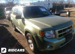 Image result for Kiwi Green 2009 Escape