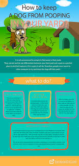 The simplest and most instantly effective solution is to erect a barrier that will prevent local dogs from accessing your land. How To Keep A Dog From Pooping In Your Yard Backyard54 Com